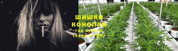 ешки Аркадак