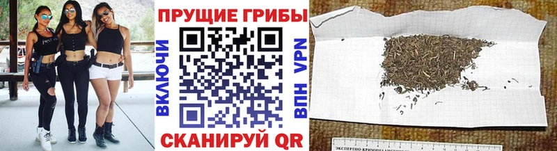 наркотики  shop клад  Псилоцибиновые грибы мухоморы  Моршанск 